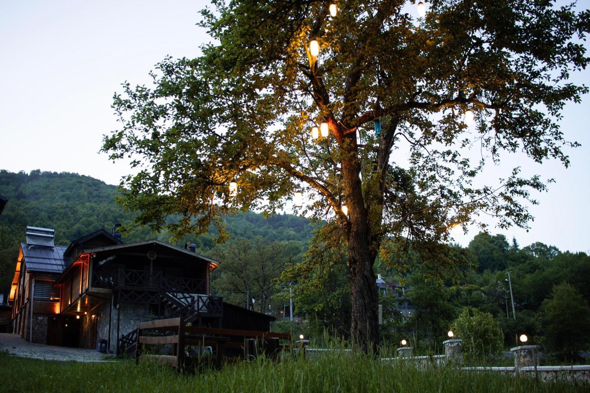 Abant Zuemruet Dag Evi Bed & Breakfast Dereceören Dış mekan fotoğraf